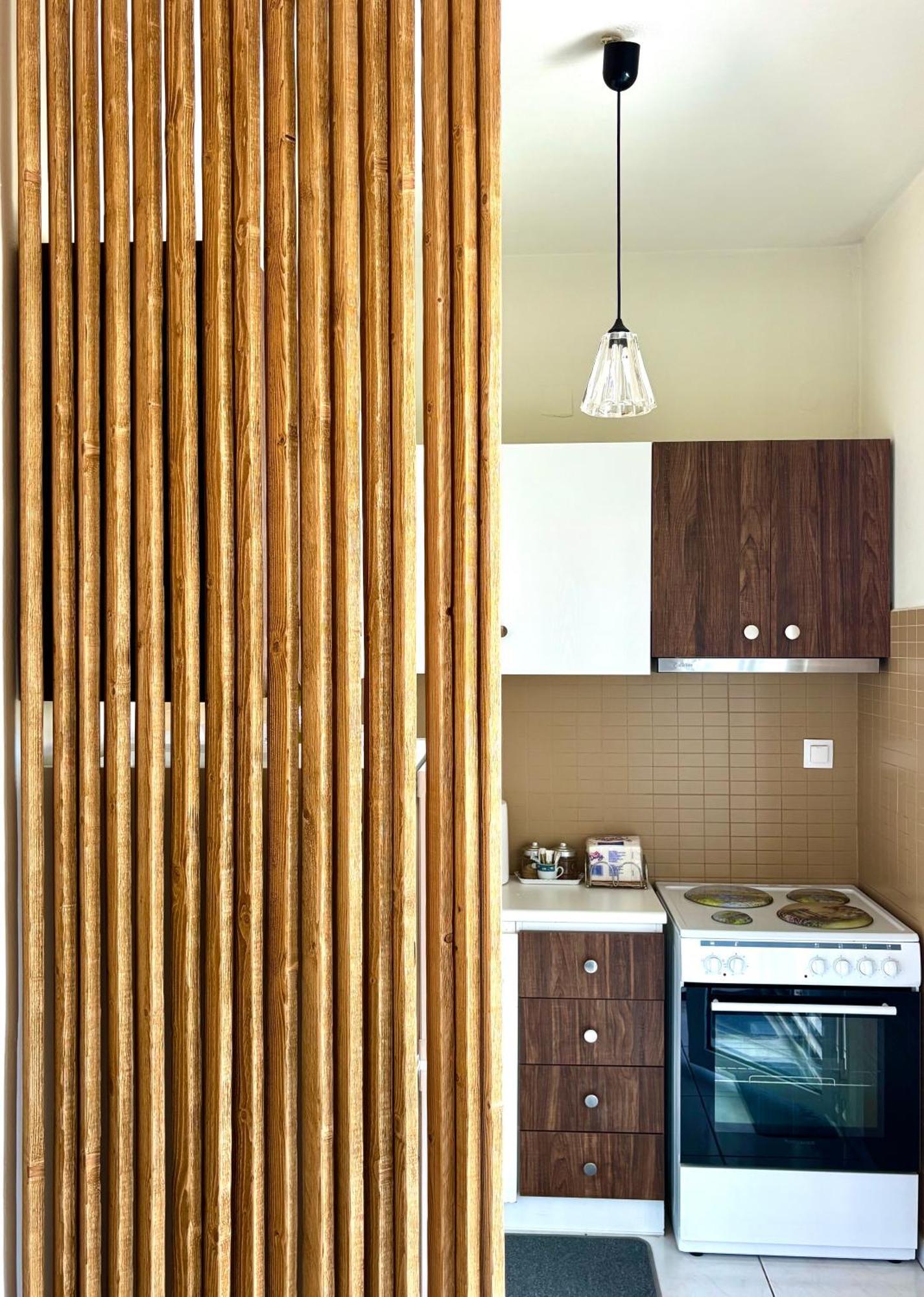 קמנה וורלה Downtown Apartment מראה חיצוני תמונה